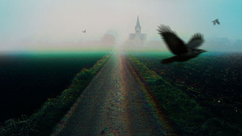 Thriller-Krimi backdrop