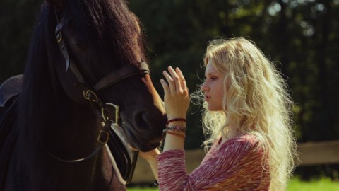 Sehenswertes backdrop