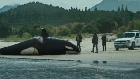 Favourites 👍 backdrop