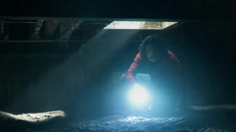 Favourites 👍 backdrop