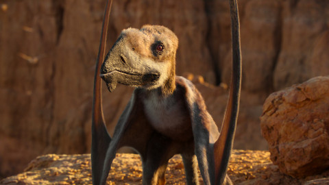 Serien / Dokus - März 2026 hinzugefügt backdrop
