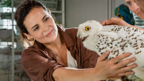 Serien / Dokus - März 2026 hinzugefügt backdrop