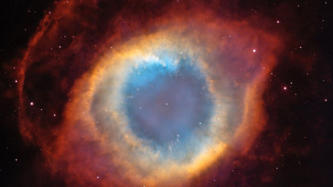 doku/tainment backdrop