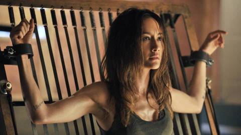 MARVEL & Warner Brothers (WB) [DC] CN backdrop