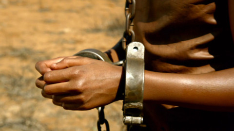 RobBalu streamfreak backdrop