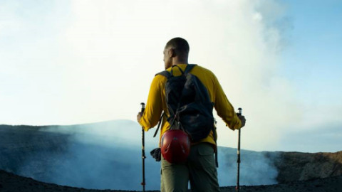 Doku - Flora & Fauna backdrop