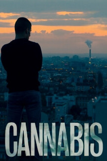 Cannabis