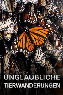 Unglaubliche Tierwanderungen