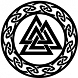 Odin81
