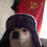 scutenheimer avatar