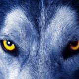Leowulf avatar