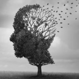 Ilyas_oezdemir avatar