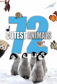 72 Cutest Animals Cover, Poster, 72 Cutest Animals DVD