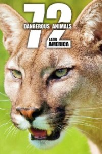 72 Dangerous Animals: Latin America Cover, 72 Dangerous Animals: Latin America Poster