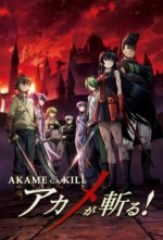 Cover Akame ga Kill!, Poster, Stream