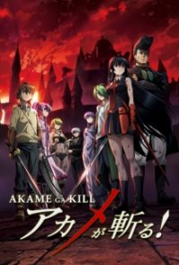 Akame ga Kill! Cover, Poster, Akame ga Kill!