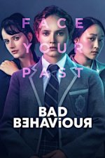 Cover Bad Behaviour, Poster, Stream