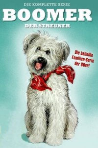 Cover Boomer, der Streuner, Poster