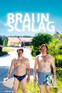 Cover Braunschlag, Poster, HD