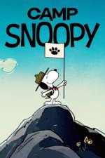 Cover Camp Snoopy, Poster, Stream