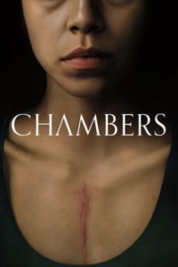 Chambers Cover, Poster, Blu-ray,  Bild