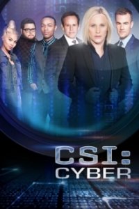 CSI: Cyber Cover, Poster, Blu-ray,  Bild