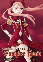 Cover Dance in the Vampire Bund, Poster, Stream