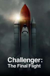 Der letzte Flug der Challenger Cover, Poster, Blu-ray,  Bild