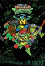 Cover Die Abenteuer der Teenage Mutant Ninja Turtles, Poster, Stream