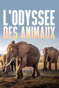 Cover Die Odyssee der Tiere, Die Odyssee der Tiere