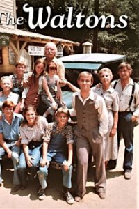 Cover Die Waltons, Poster