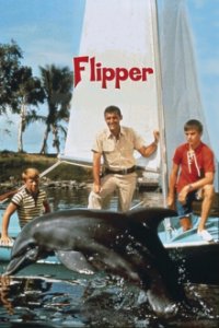 Flipper Cover, Poster, Blu-ray,  Bild