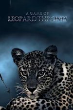 Game of Leopard Thrones - Die Königin der Leoparden Cover, Game of Leopard Thrones - Die Königin der Leoparden Stream