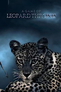 Cover Game of Leopard Thrones - Die Königin der Leoparden, TV-Serie, Poster