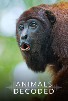 Geheime Sprache der Tiere, Cover, HD, Serien Stream, ganze Folge