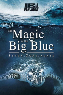 Geheimnisse der Ozeane, Cover, HD, Serien Stream, ganze Folge
