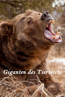 Giganten des Tierreichs, Cover, HD, Serien Stream, ganze Folge