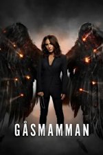 Staffel 1 Cover, Poster