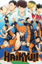 Staffel 1 Cover, Poster
