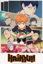 Cover Haikyuu!!, Poster, Stream