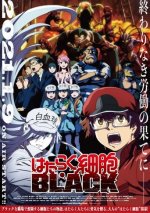 Cover Hataraku Saibou Black, Poster, Stream