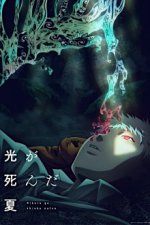 Hikaru ga Shinda Natsu Cover, Hikaru ga Shinda Natsu Stream