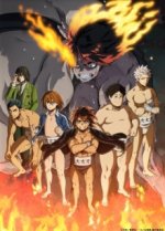 Cover Hinomaru Zumou, Poster, Stream