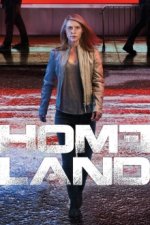 Cover Homeland, Poster, Stream