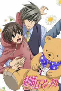 Cover  Junjou Romantica, Poster  Junjou Romantica