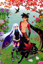 Cover Katanagatari, Poster Katanagatari