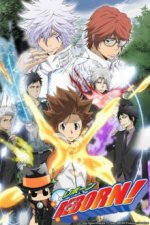 Cover Katekyo Hitman Reborn, Poster, Stream