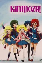 Cover Kin`iro Mosaic, Poster, Stream