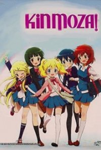 Cover Kin`iro Mosaic, Poster, HD