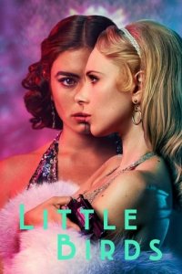 Little Birds Cover, Poster, Little Birds DVD